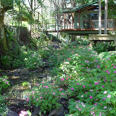 Treetops Монтвіль Екстер'єр фото