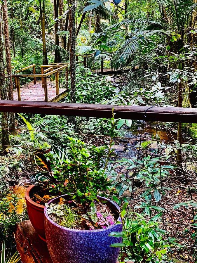 Treetops Монтвіль Екстер'єр фото