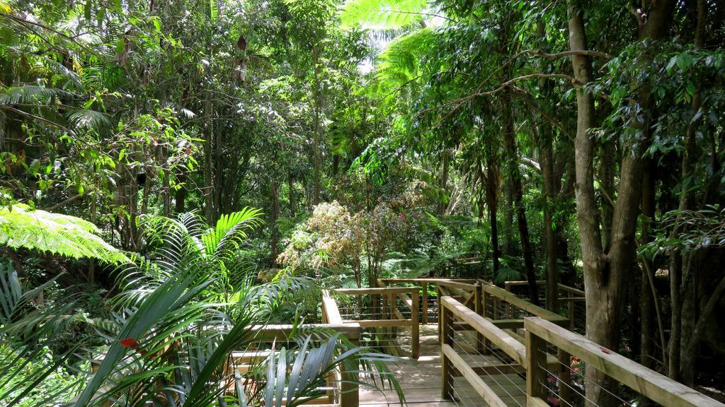 Treetops Монтвіль Екстер'єр фото