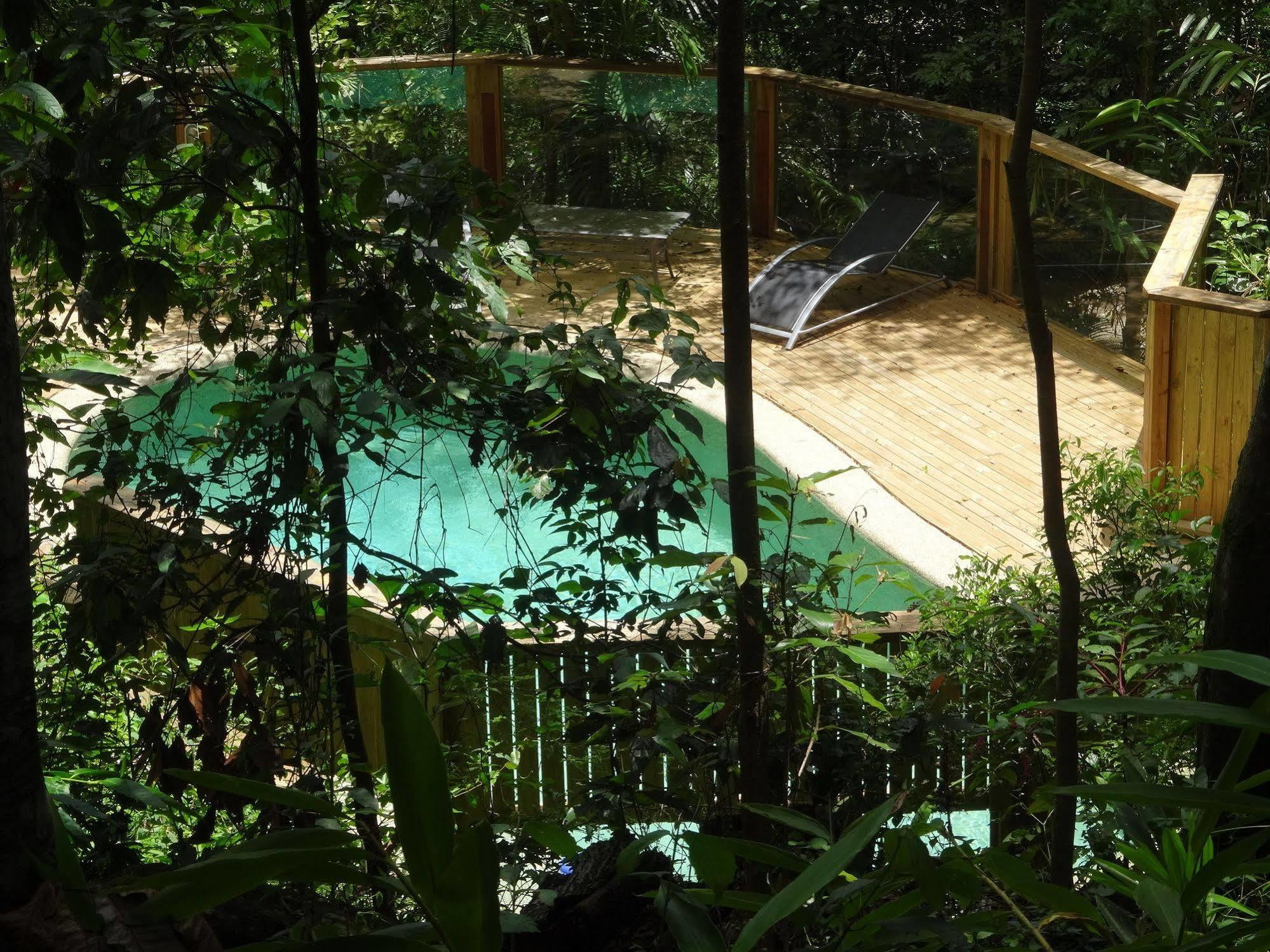 Treetops Монтвіль Екстер'єр фото